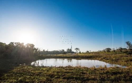 Imóvel 3631