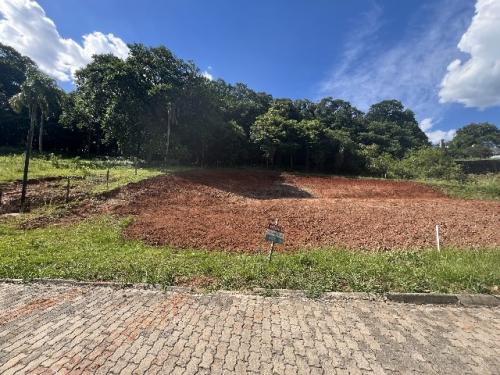 Imóvel 4241